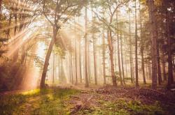 电竞新(xīn)秀联赛落幕，年輕(qīng)战队斩获首(shǒu)冠创佳绩