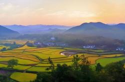 电競(jìng)比赛奖金丰厚，选手们激烈角逐