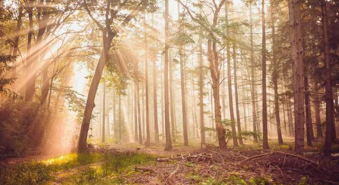 电竞解说大赛圆满结束，新声力量为电竞添彩