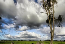 锁定斗鱼看 2025 电竞世界杯：豪华解說(shuō)+互動(dòng)福利 開(kāi)启盛(shèng)夏观赛狂欢