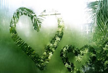 红魔电竞手机为何称霸电竞赛事？