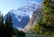 校园电竞选手，请先对学业负责