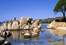 校园电竞选手，请先对学业负责