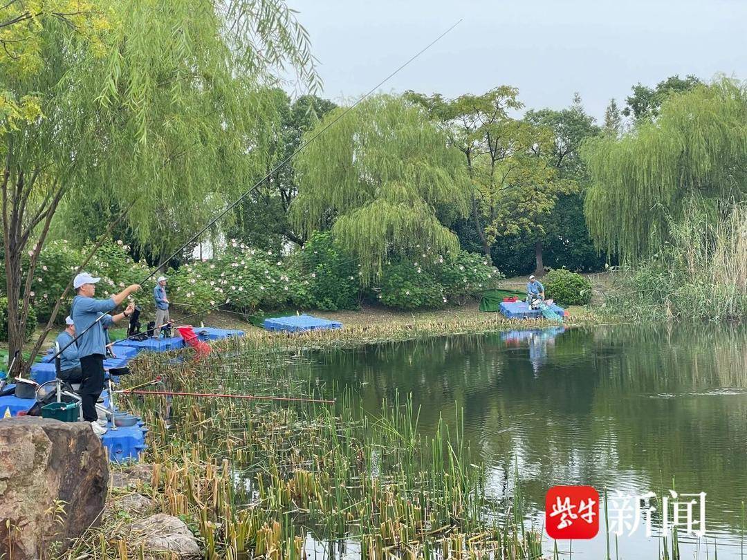 金秋竿舞太湖畔！2025中华垂钓大赛苏州选拔赛举行