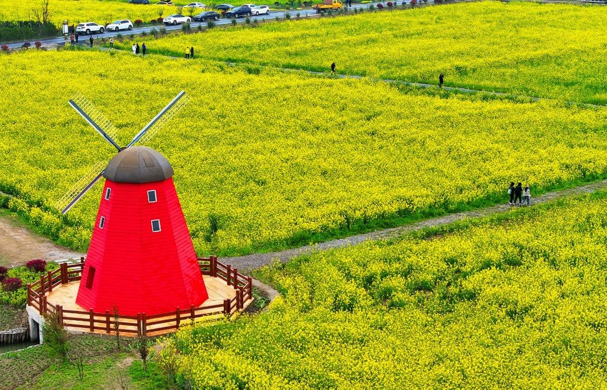 电竞比赛吸引众多观众,电竞产业蓬勃发展