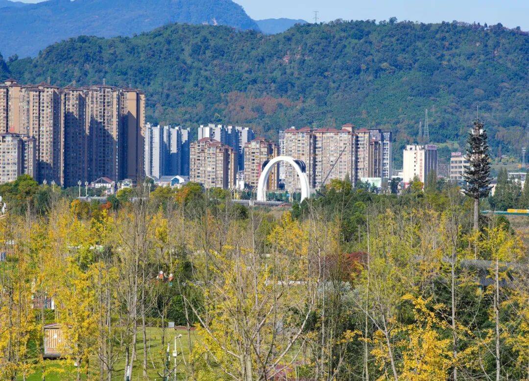 跑半马 游雨城 | “跑遍四川”总决赛为何在雨城?